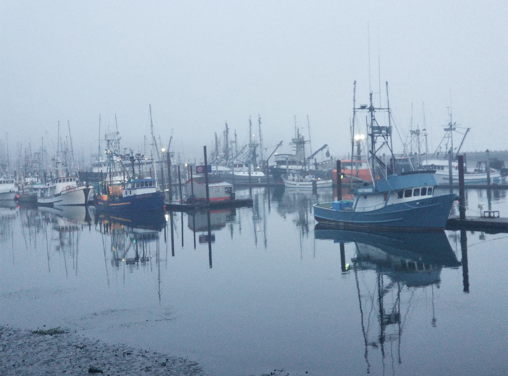 foggy harbor